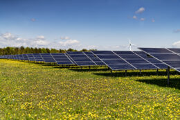 Field with PV modules