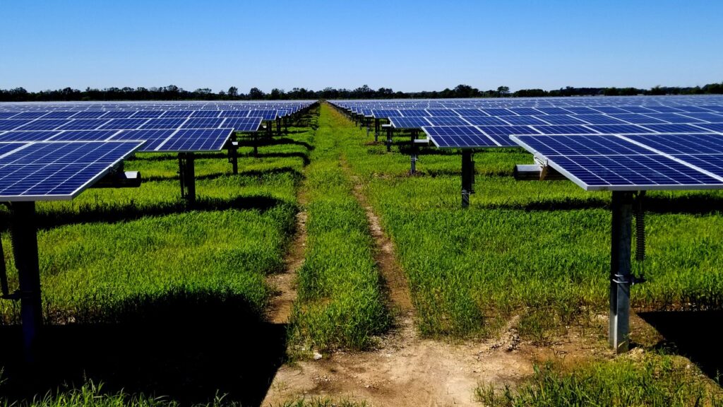 entergy_ Chicot-Solar-Facility Entergy's Chicot Solar Energy Center, Chicot County, Arkansas.