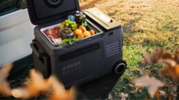 Anker Solix Everfrost 2 58L model