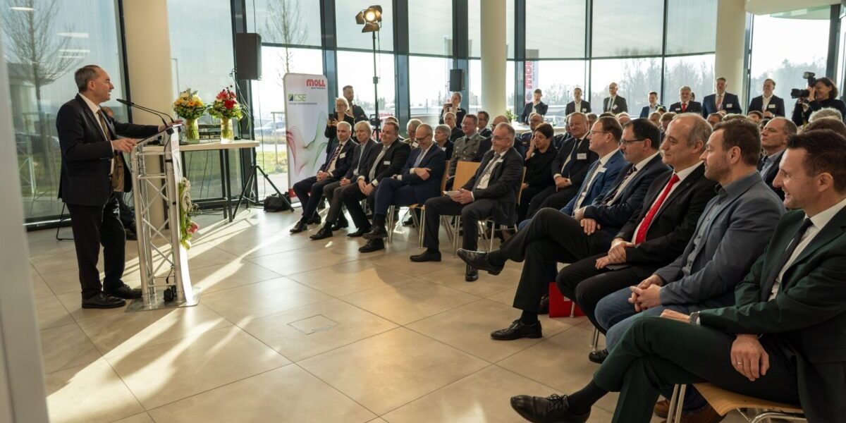 Moll Batterien garners more than $25 million for sodium-ion battery plant in Germany