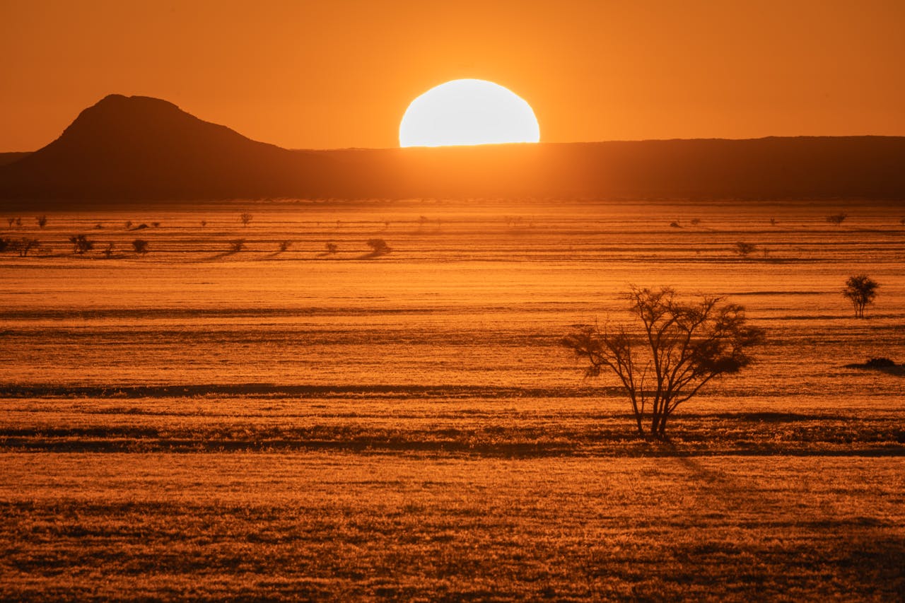 Namibia’s power corp launches procurement for 90 MWh battery storage project
