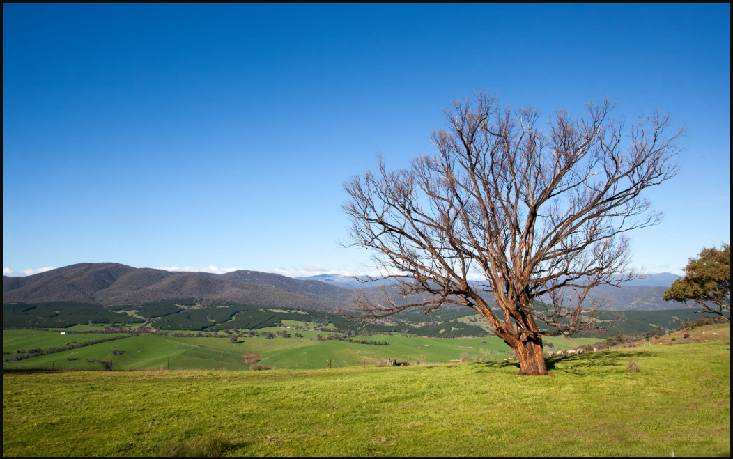 Australian state clears 620 MW/2.5 GWh Morwell battery project