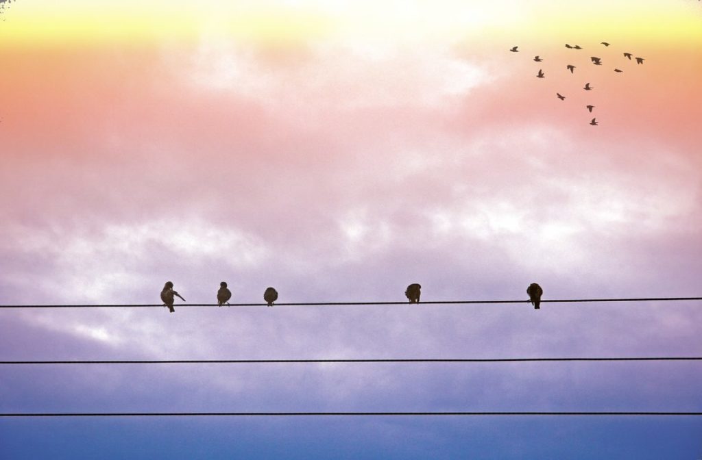 France opens joint flexibility market portal for local grid services